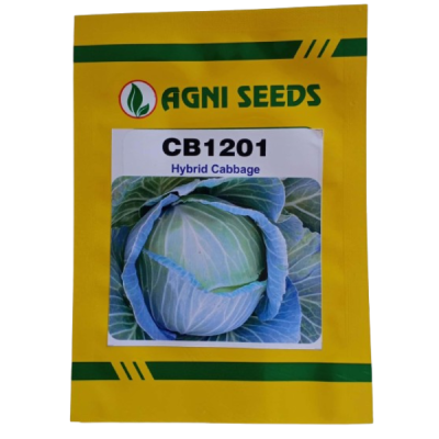 CB 1201- Cabbage